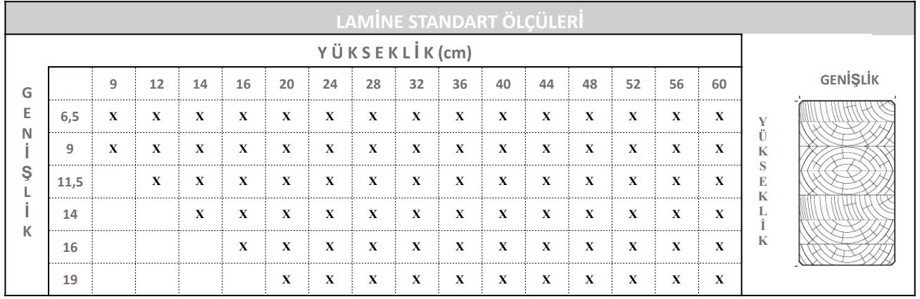 NASLAM