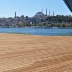 PERGE-SHP · İroko